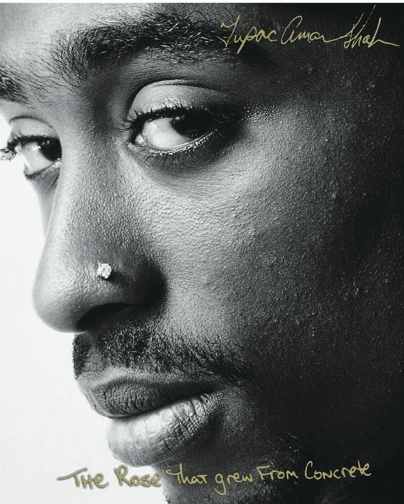 The Rose That Grew From Concrete (Hardcover) by Tupac Shakur