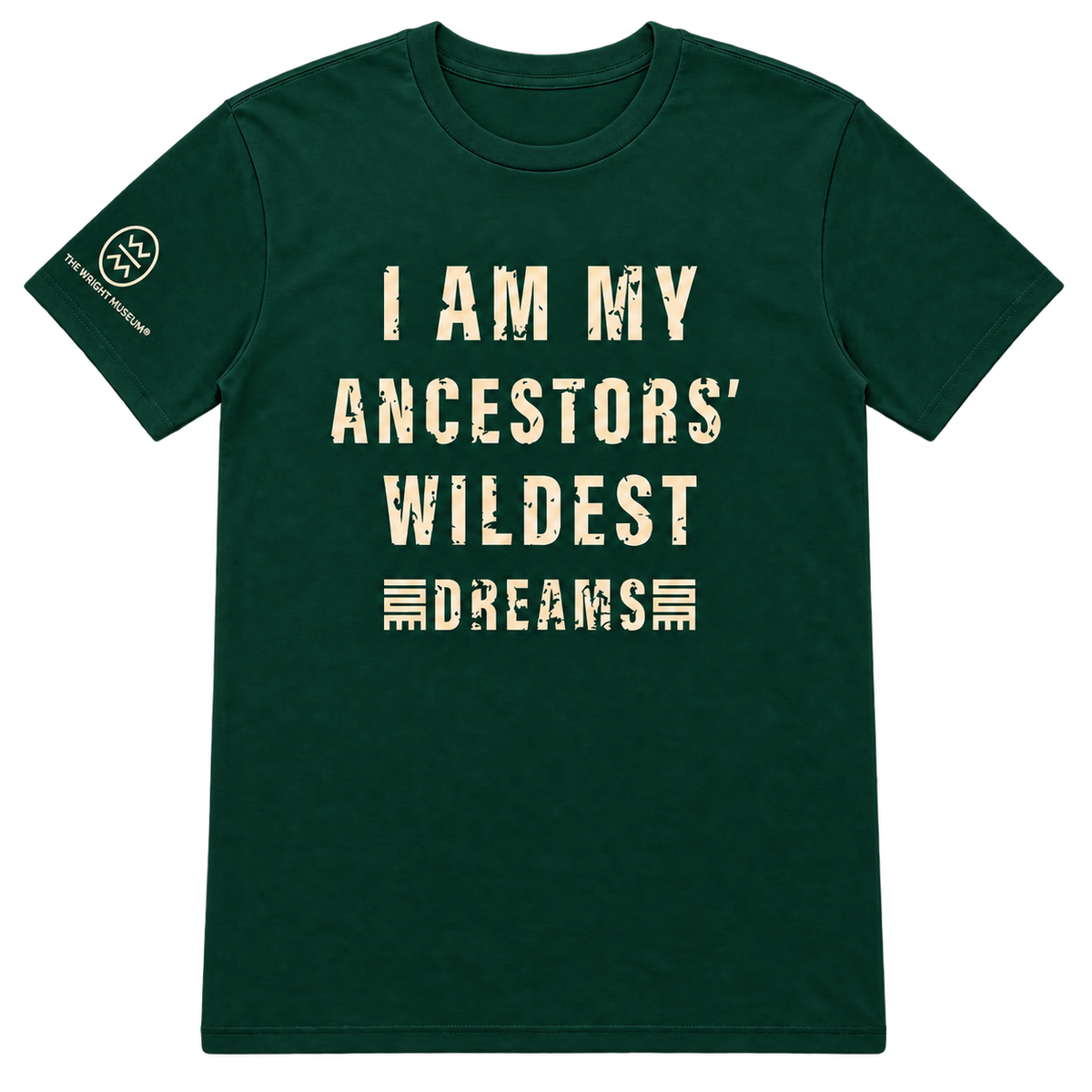 I Am My Ancestors' Wildest Dreams T-Shirt*