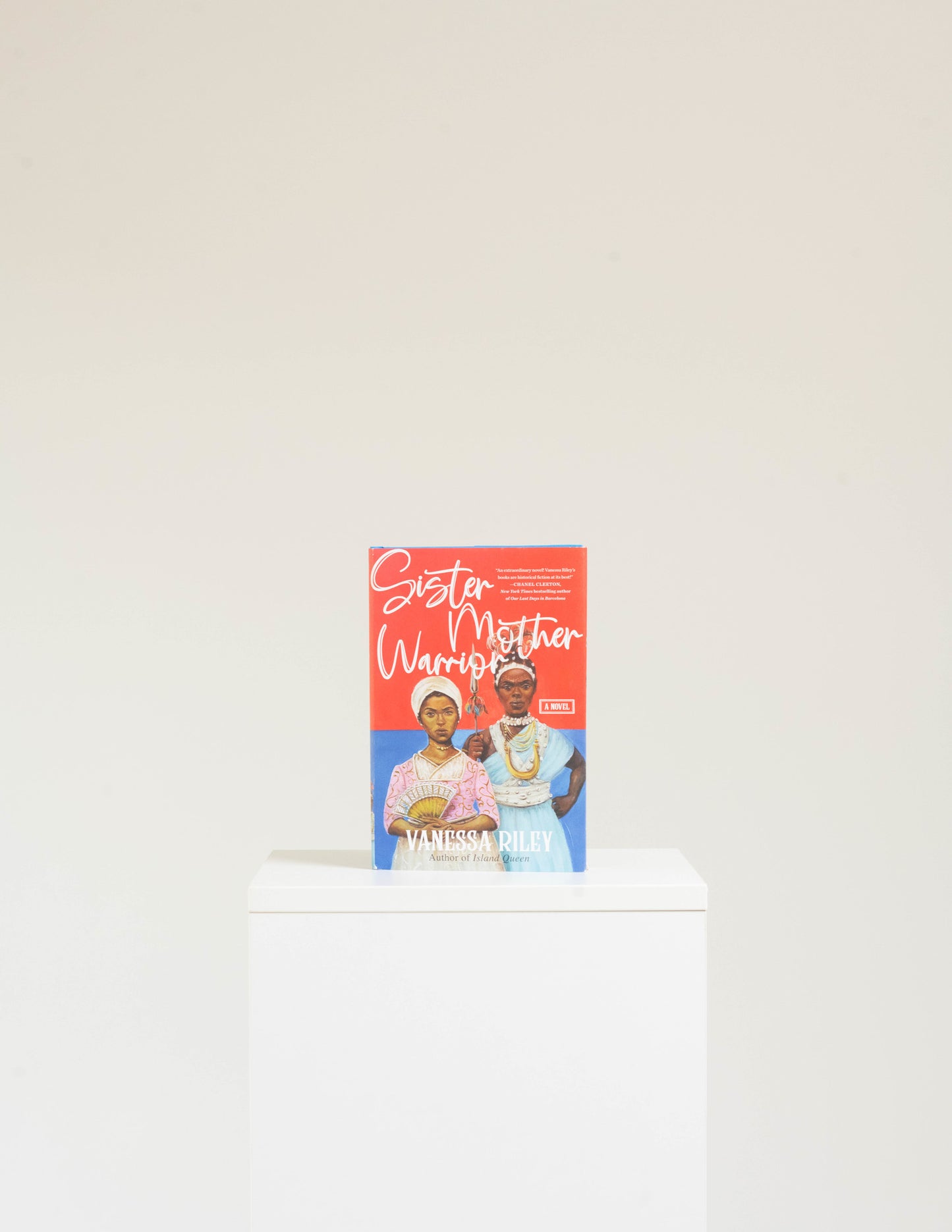 Sister Mother Warrior: A Novel