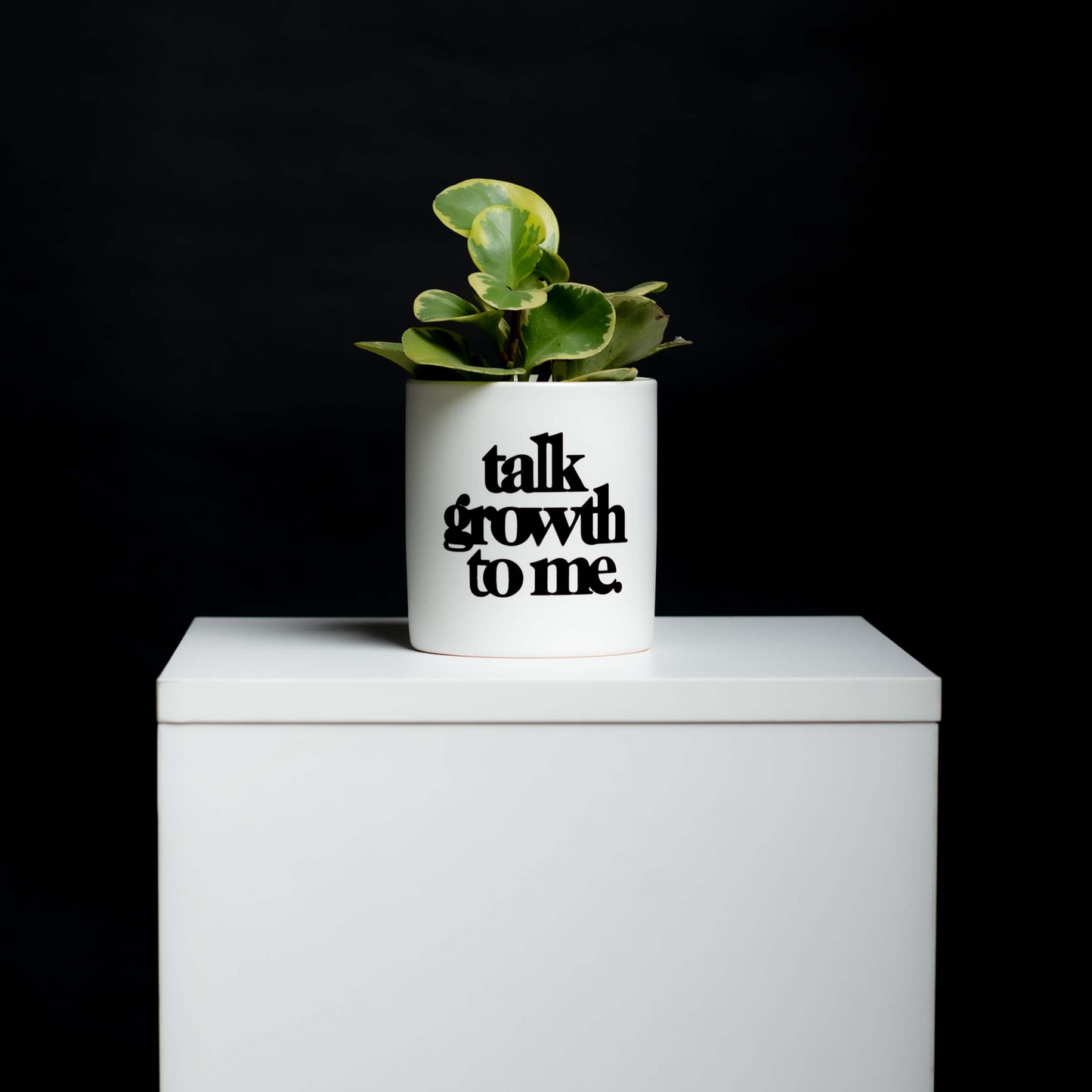 Talk Growth To Me 4" Planter