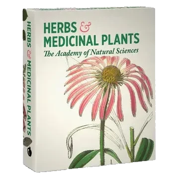 Herbs & Medicinal Plants Knowledge Cards