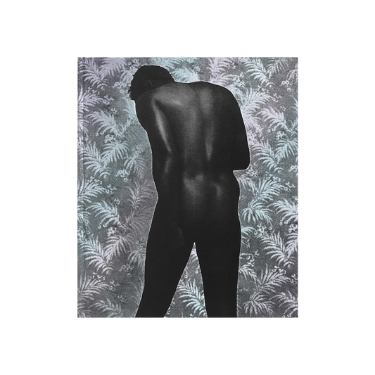 Ming Smith Monograph