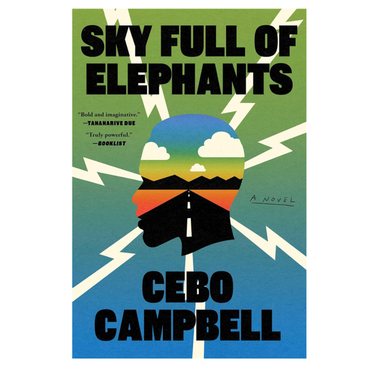 SKY FULL OF ELEPHANTS