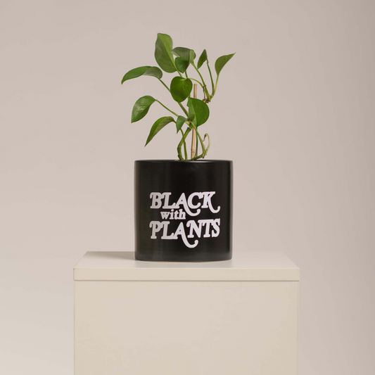 Black With Plants 4" Planter