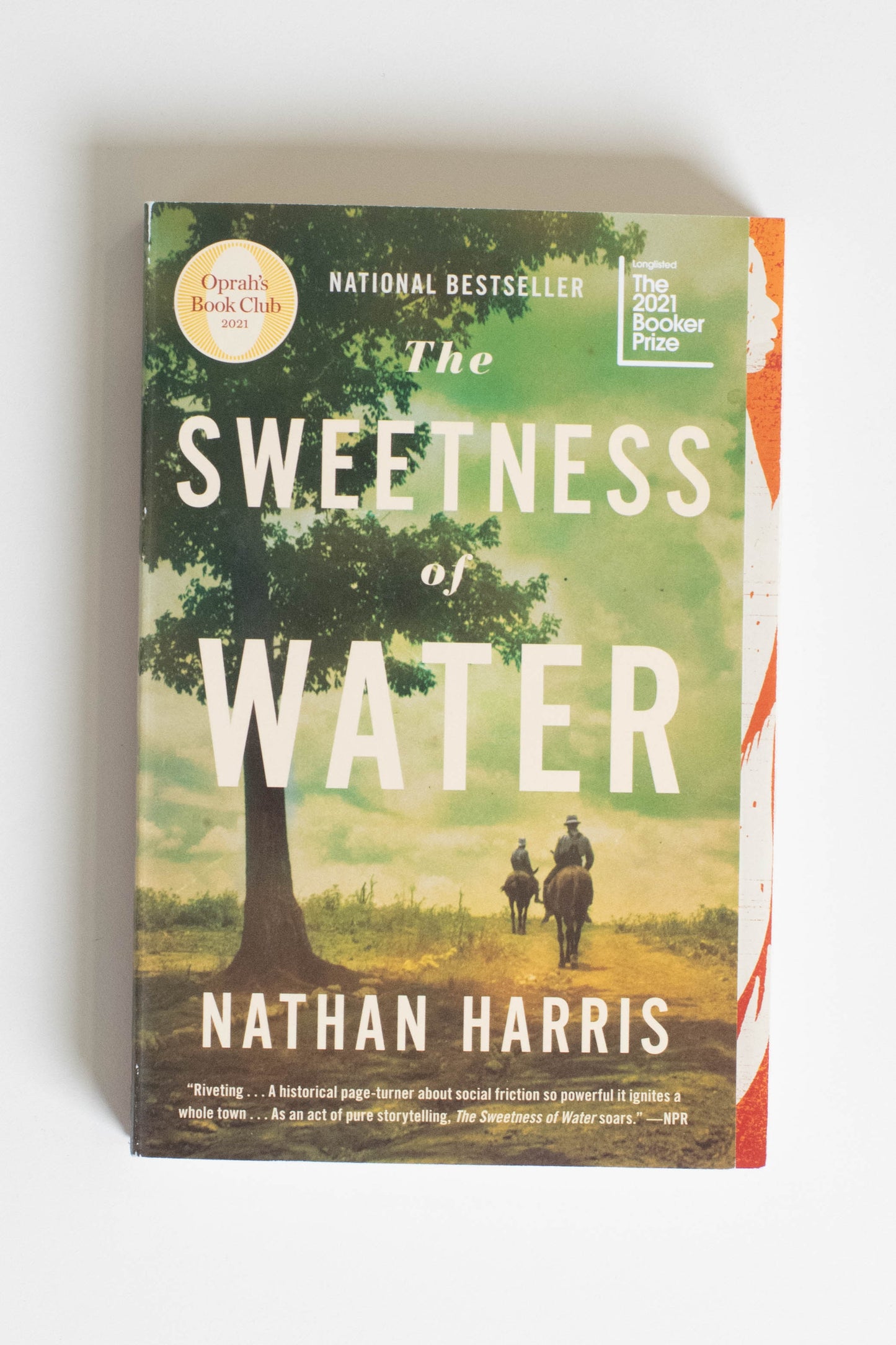 The Sweetness of Water (Oprah's Book Club): A Novel