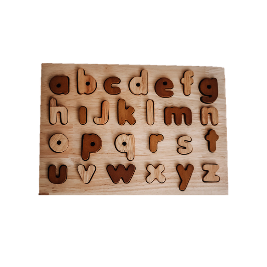 Lower Case Letter Puzzle