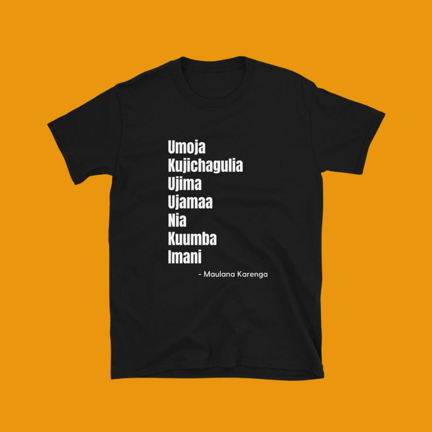 Kwanzaa 7 Principles T- shirt