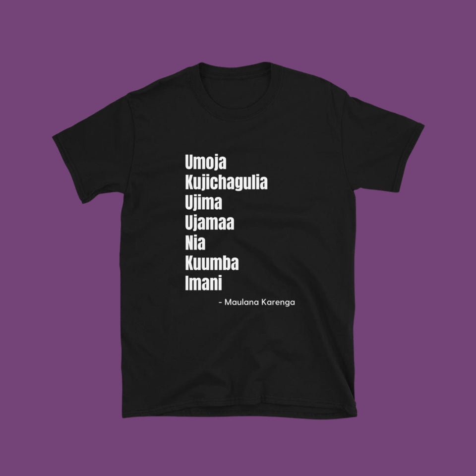 Kwanzaa 7 Principles T- shirt