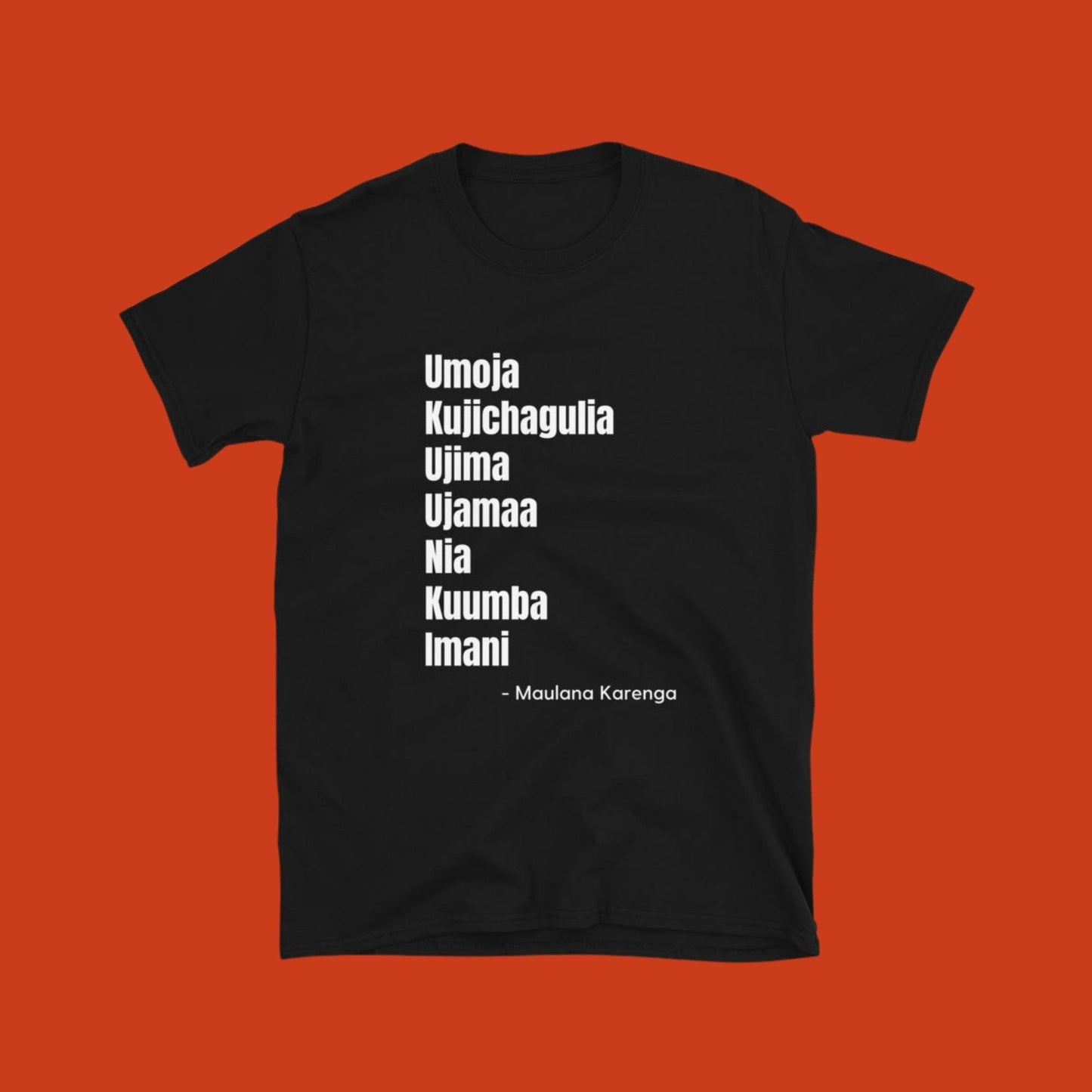 Kwanzaa 7 Principles T- shirt